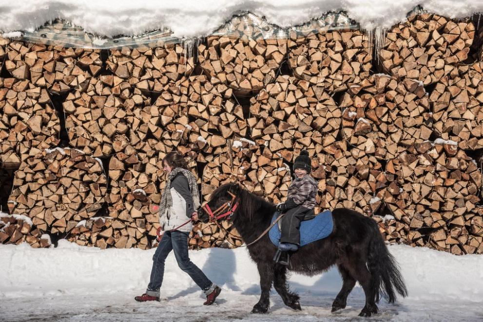 Hostel Backpacker Le Petit Baroudeur Champéry Zewnętrze zdjęcie